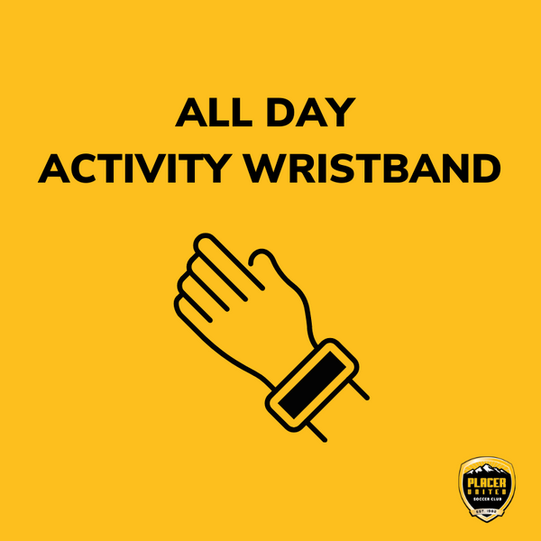 All Day Activity Wristband